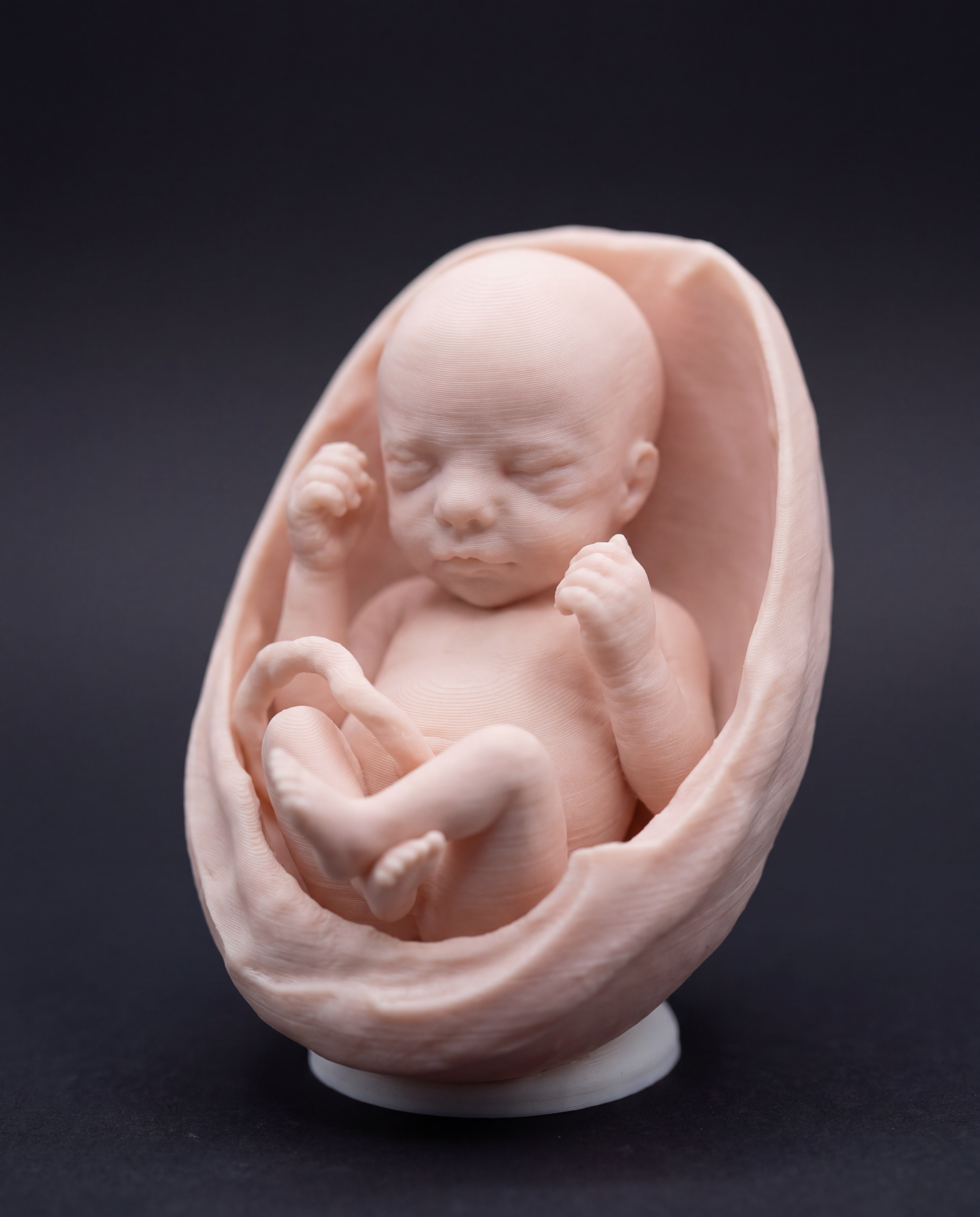 Fetal keepsake figurine 3D printed from ultrasound, studio photo